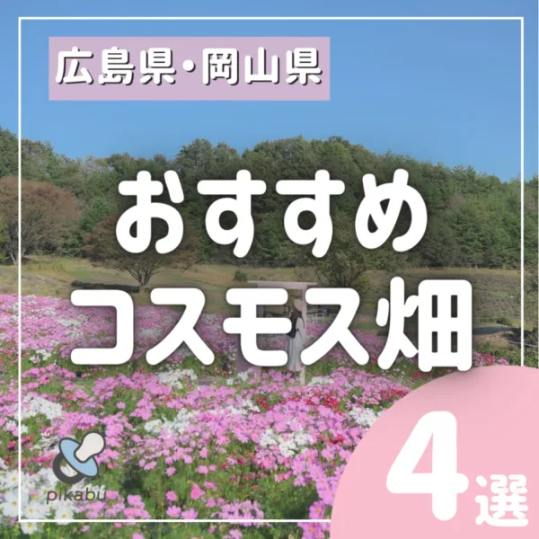 秋のお出かけにおすすめ!広島&近隣県のおすすめコスモス畑4選