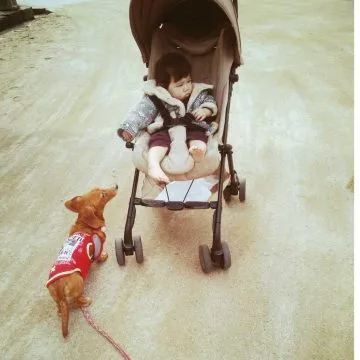 ペット×赤ちゃんのほんわか共同生活。愛犬に支えられた初めての子育て