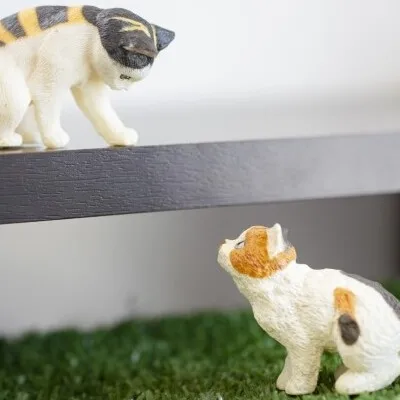 にゃんと可愛らしい!広島で猫雑貨が買えるお店5選