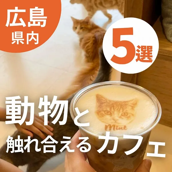 小動物・猛禽類・爬虫類まで!広島で動物と触れ合えるカフェ5選