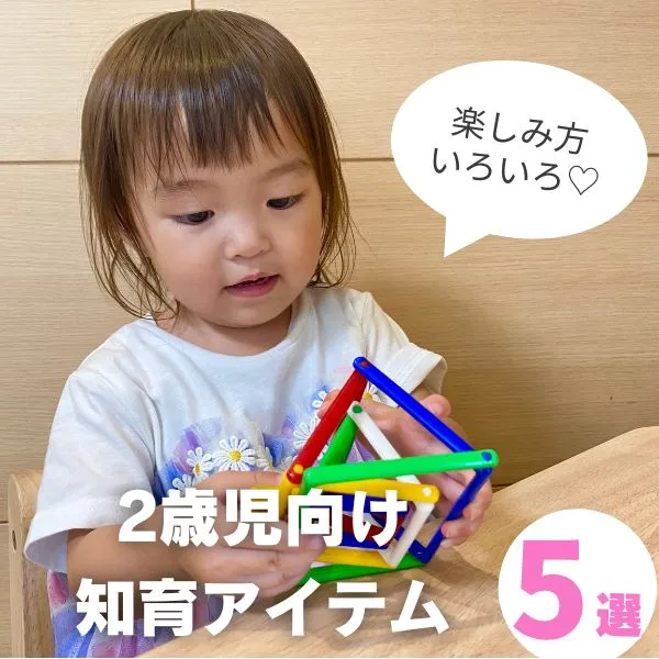 【2歳児】知育のおすすめは?買ってよかったアイテム5選をご紹介
