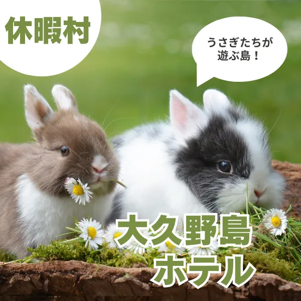 大久野島のホテル「休暇村」に泊まろう!うさぎの楽園でのんびり子連れ旅