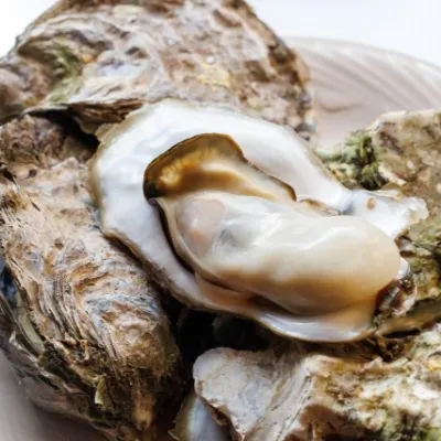 広島県のお雑煮の特徴は牡蠣?|お餅を使わない子ども向けレシピも