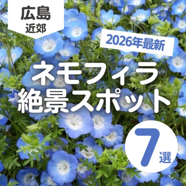 広島と近隣県のネモフィラ絶景スポット7選♡青色の絨毯に癒されよう
