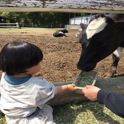 GWは広島の福富へ!やんちゃ息子にぴったりの子連れ観光スポット巡り