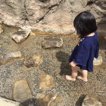 安佐動物公園で夏を満喫しよう!水遊びやナイトサファリなどのイベントも♪