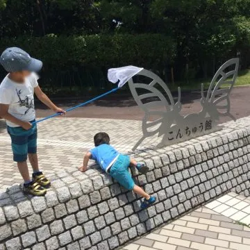 子育ての大きな悩み、離乳食は兄弟でもこんなに違うの?