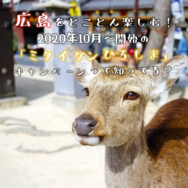 「ミタイケンひろしま」って知ってる?広島の魅力を改めて再確認!