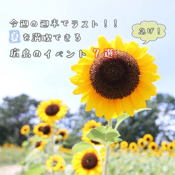 今週の週末でラスト!夏を満喫できるイベントまとめ7選