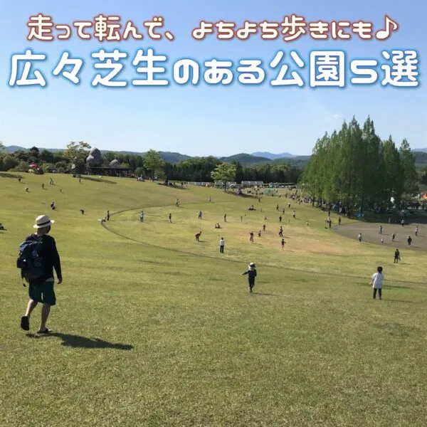 よちよち歩きの子供にぴったり!広々芝生のある公園5選