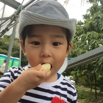 【2018】秋の味覚狩りまとめ♪家族で楽しめる広島のスポット10選